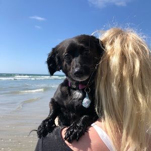 Meet your Posher, Ivy